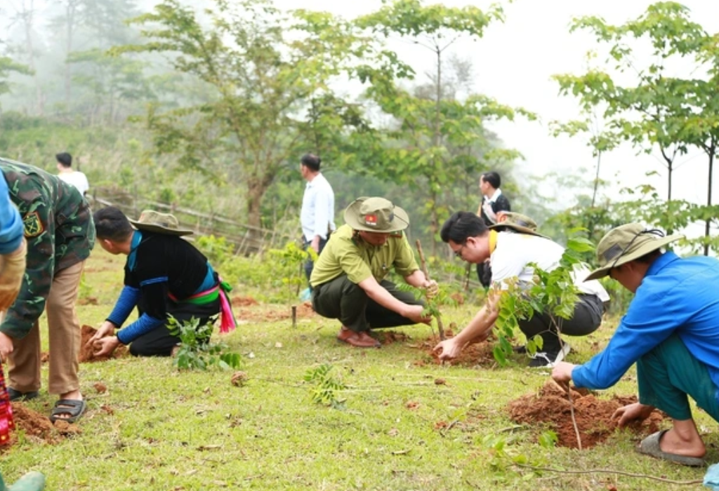 Bamboo foundation - ảnh đại dện
