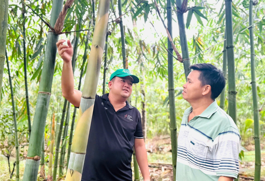 Vietnam Bamboo Village