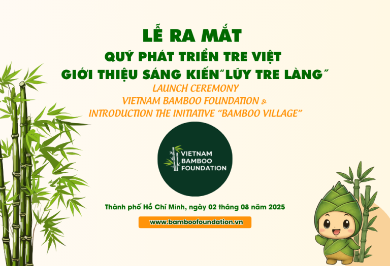Bamboo foundation - ảnh đại dện