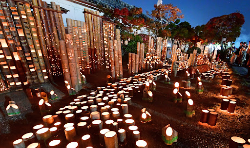bamboo-festival