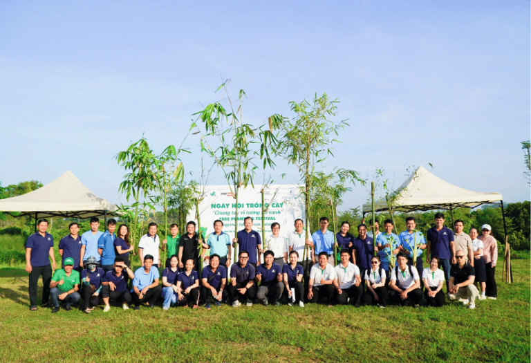 bamboo-foundation