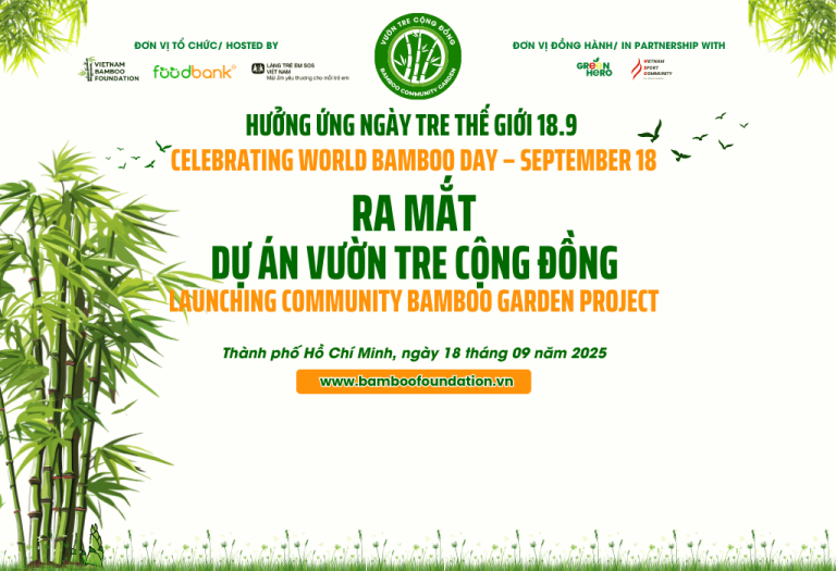 Link ảnh đại diện web (1)