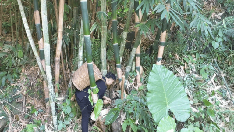 ảnh đại diện web 1200x675 (1)