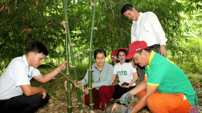 ảnh đại diện web 1200x675