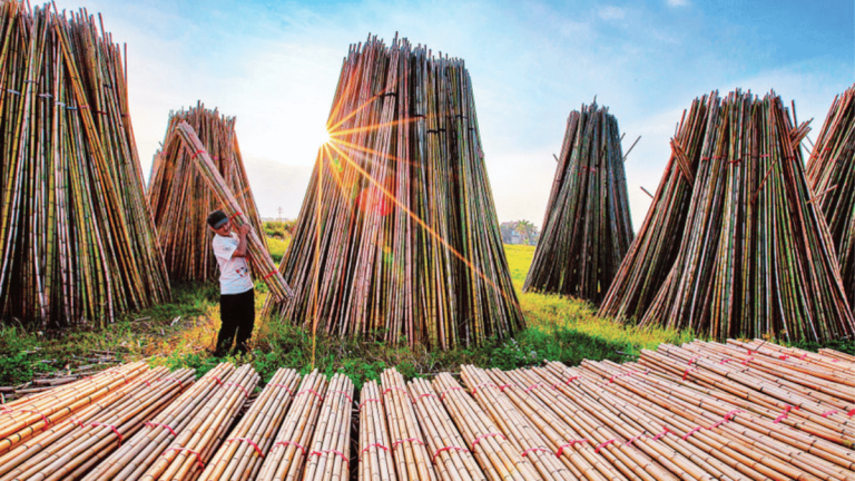 ảnh đại diện web 1200x675 (22)