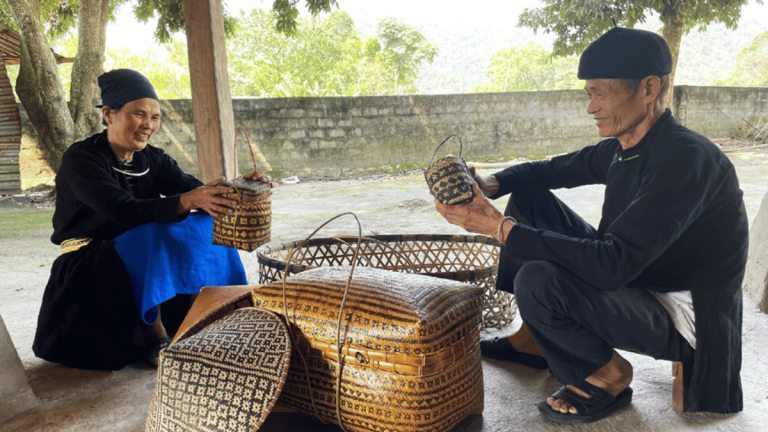 ảnh đại diện web 1200x675 (53)