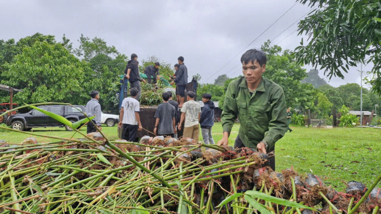 ảnh đại diện web 1200x675 (8)