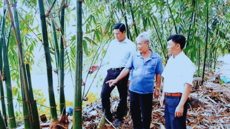 Ảnh đại diện Webb 1200 x 675 (27)