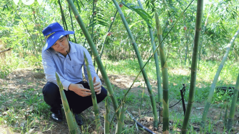 Ảnh đại diện Webb 1200 x 675 (7)