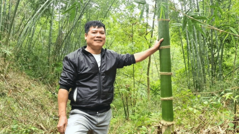 Ảnh đại diện Webb 1200 x 675