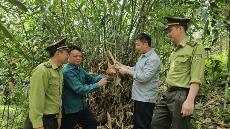 Ảnh đại diện Webb 1200 x 675 - 2026-02-09T135911