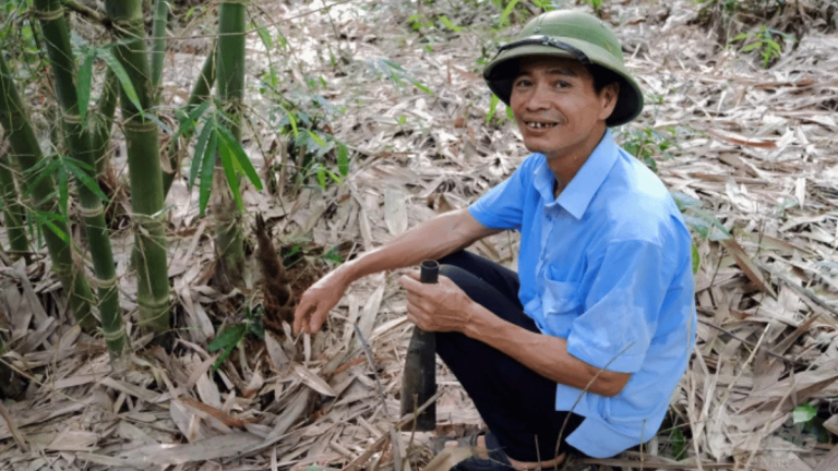 Ảnh đại diện Webb 1200 x 675 - 2026-02-09T140251