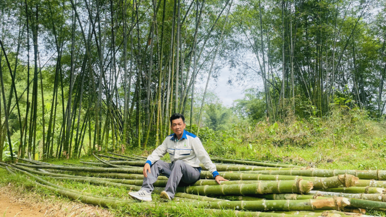 ảnh đại diện Web