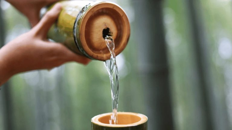 ảnh đại diện Web (1)