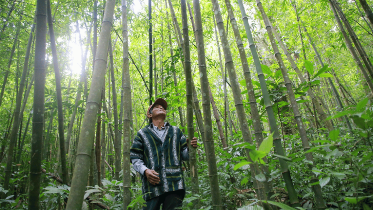 ảnh đại diện Web (16)