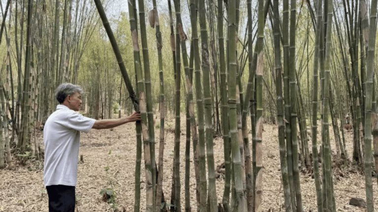 ảnh đại diện Web (20)