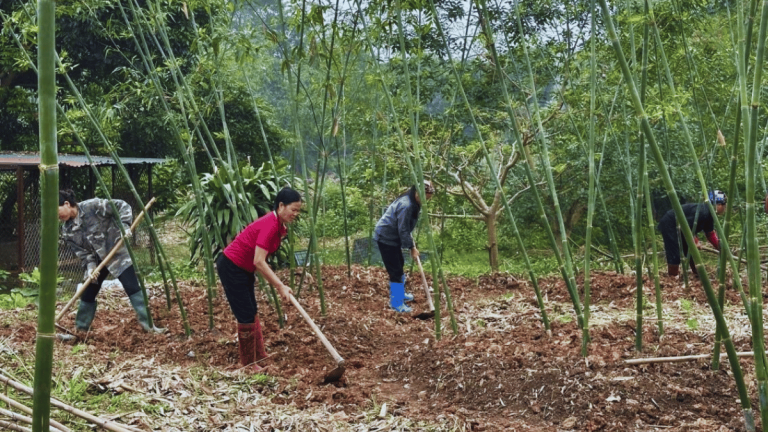 ảnh đại diện Web - 2026-04-03T152109