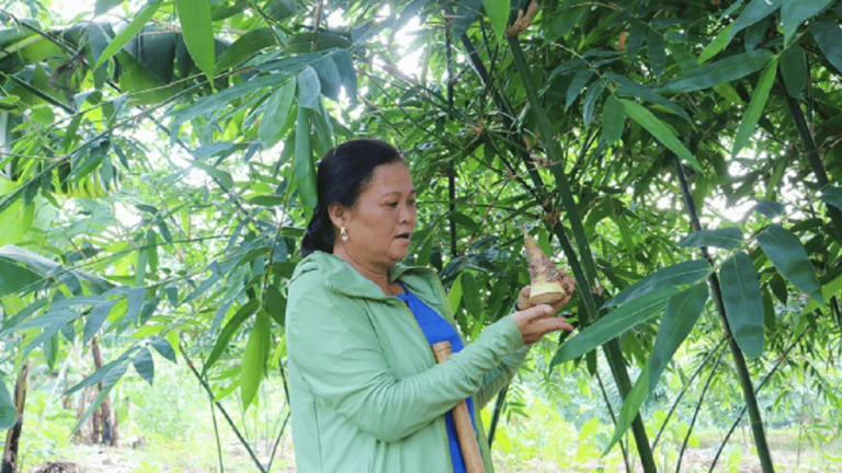 ảnh đại diện Web (41)