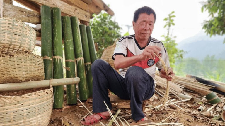 ảnh đại diện Web (50)