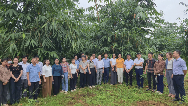 ảnh đại diện Web (56)