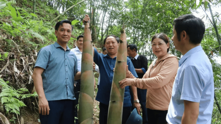 ảnh đại diện Web (57)