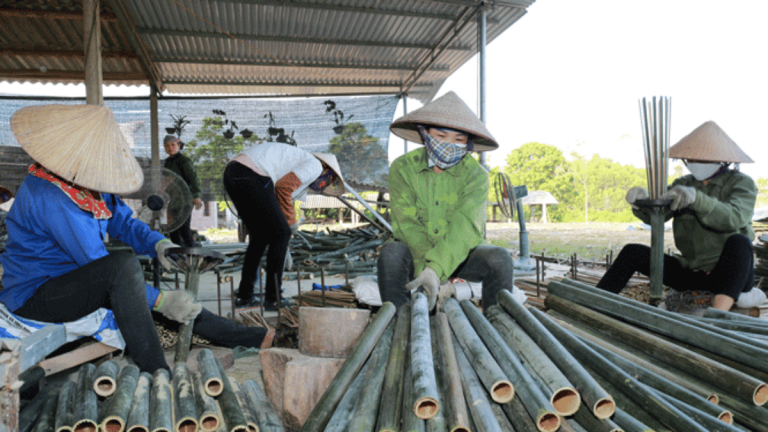 ảnh đại diện Web (6)