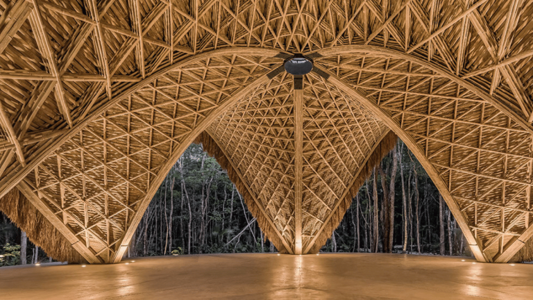 ảnh đại diện Web (7)