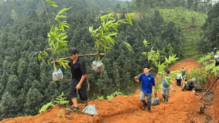 ảnh đại diện web (11)