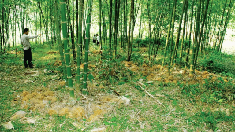 ảnh đại diện web (22)