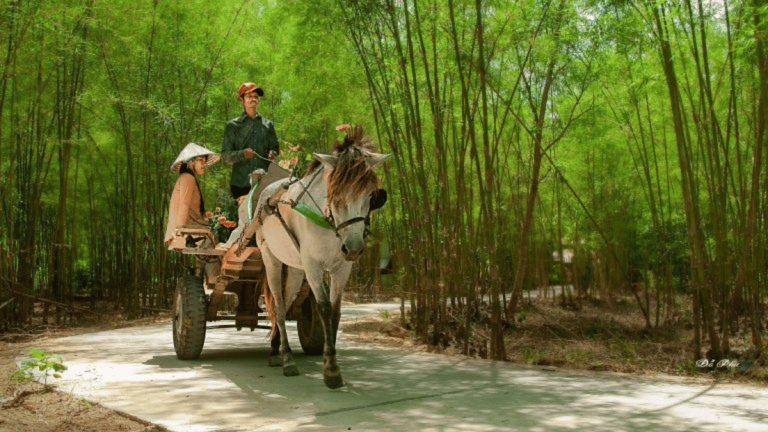 ảnh đại diện web (32)